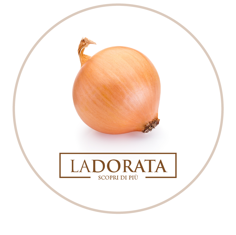 Cipolla dorata di Cannara