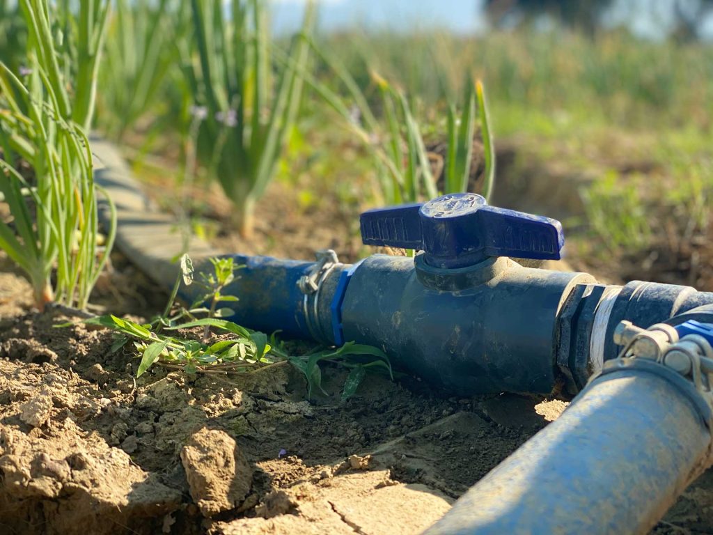 Impianto di Irrigazione campo cipolle di Cannara